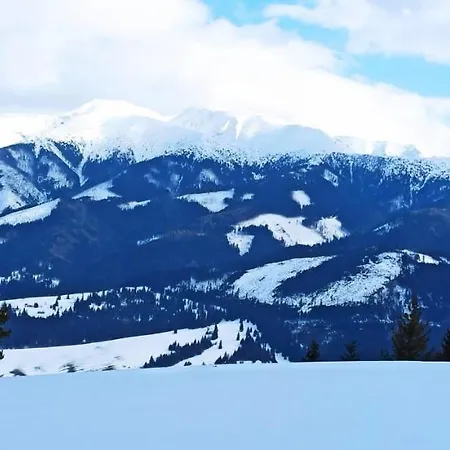 Apartament Grobarcik *