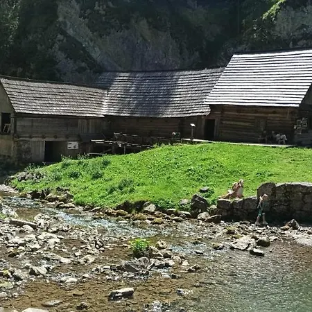 Apartament Grobarcik Zuberzec