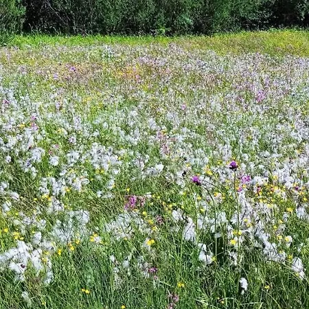 Apartament Grobarcik Zuberzec