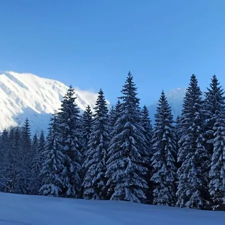 Apartment Grobarcik *