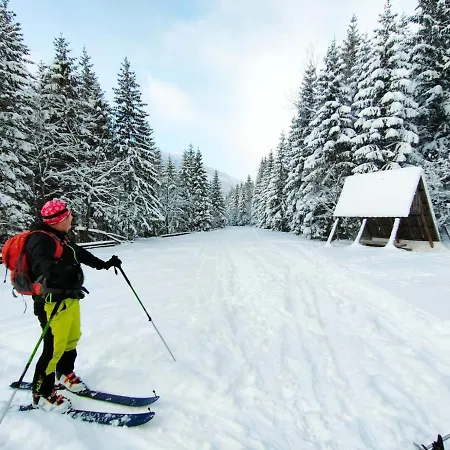 Grobarcik Apartment *