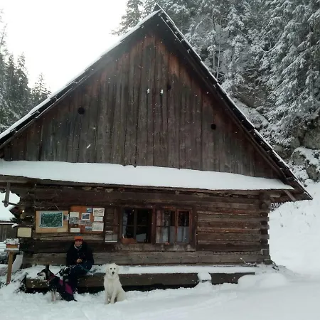 Grobarcik Lejlighed *