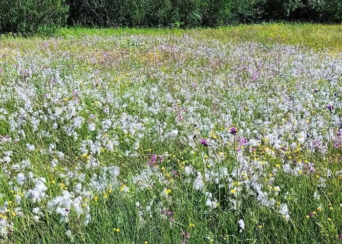 Appartamento Grobarčík Zuberec