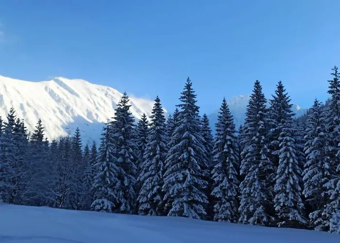 Appartamento Grobarčík *